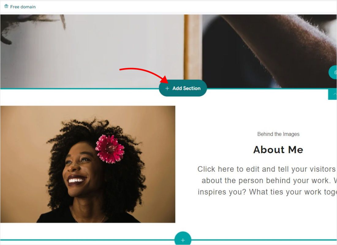 Open your site in the GoDaddy editor, go to the page and hover where the widget should appear. Click Add Secti