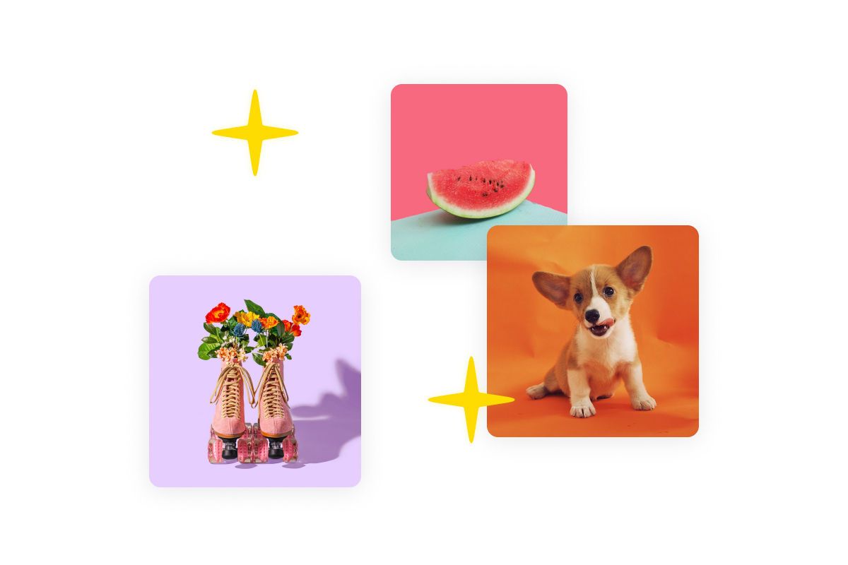 Instagram feed widget showing recent posts in a grid on a website homepage