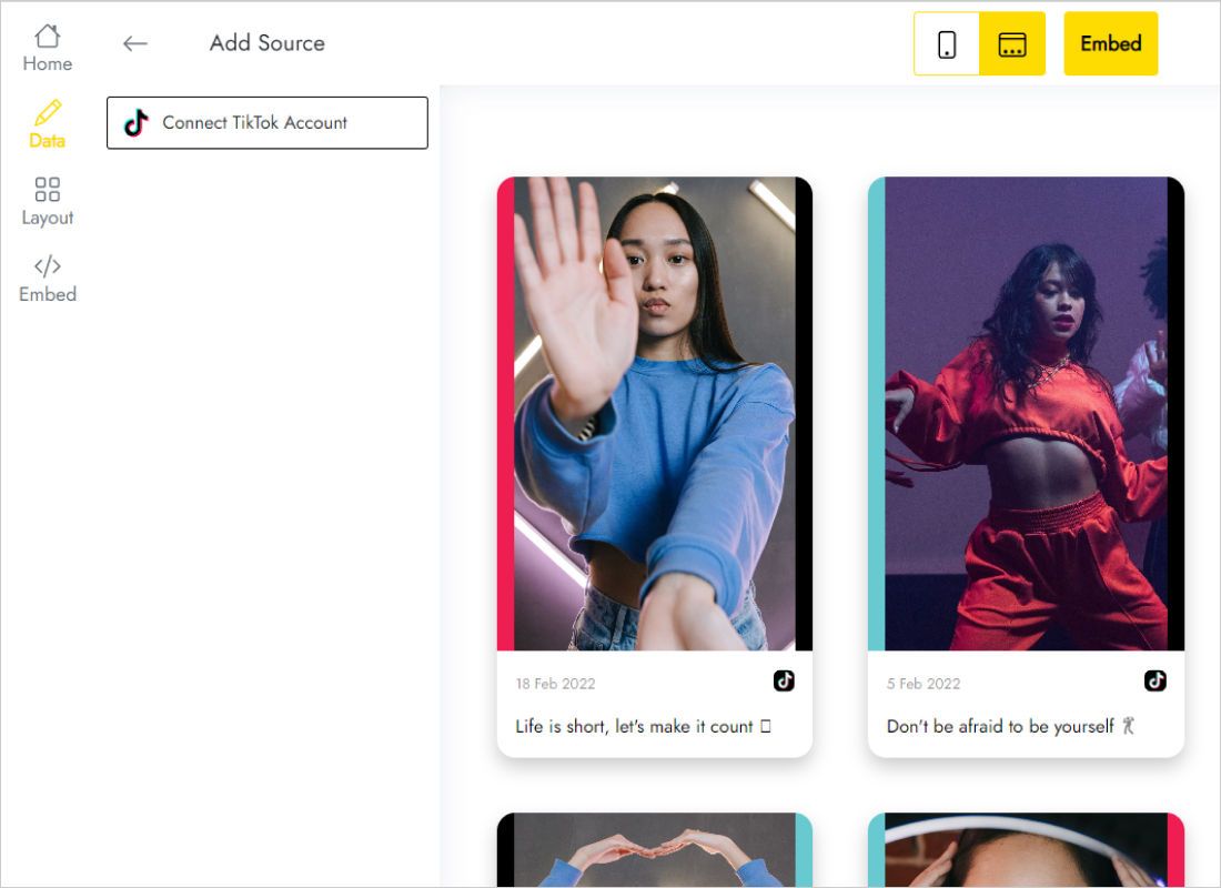 Data tab with the Connect TikTok Account button